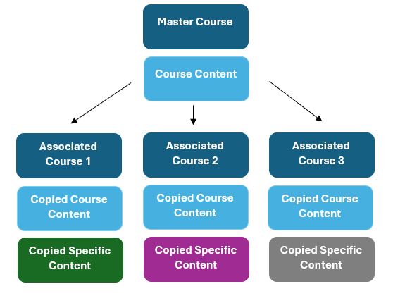 Diagram of relationships between mater course and associated courses